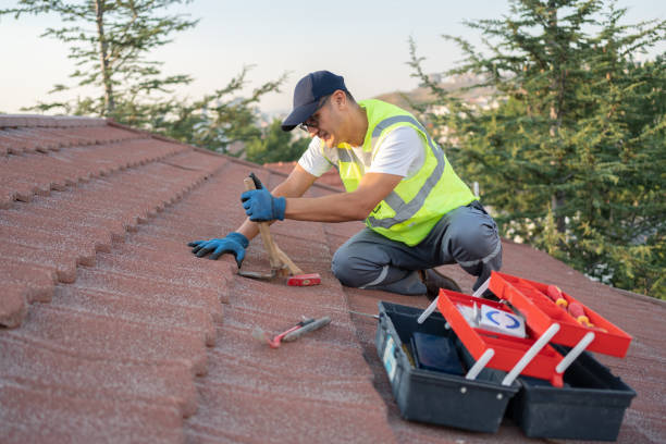 Best Storm Damage Roof Repair  in Traer, IA