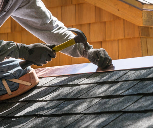 Best Roof Gutter Cleaning  in Traer, IA